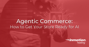 Agentic Commerce How to Get Your Store Ready for AI - Hero Image